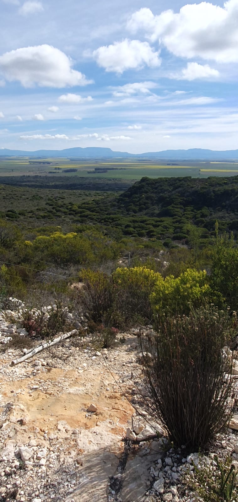  Bedroom Property for Sale in Riversdale Rural Western Cape